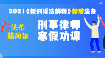 《新刑诉法解释》