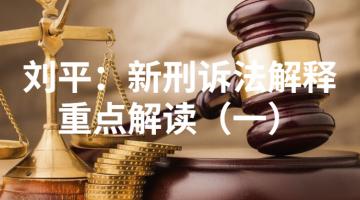 新刑诉法解释
